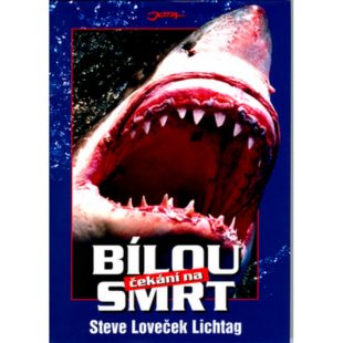 Čekání na bílou smrt 9500-4105