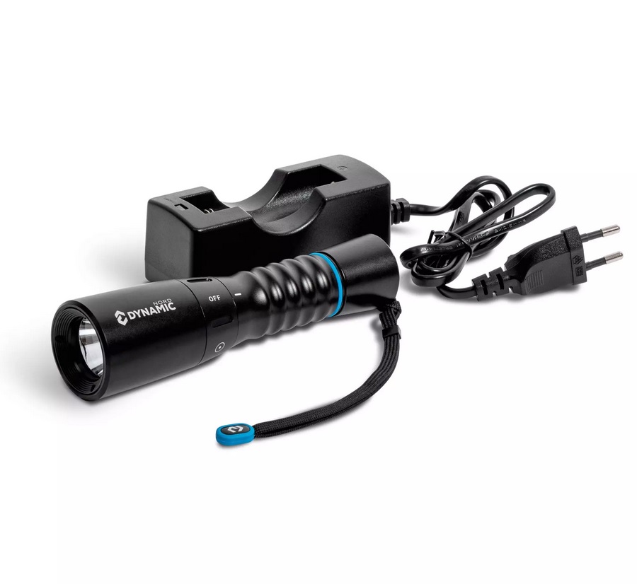dl1200-2